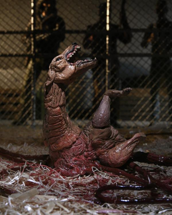 Neca The Thing Ultimate Dog Creature Set (In Stock)