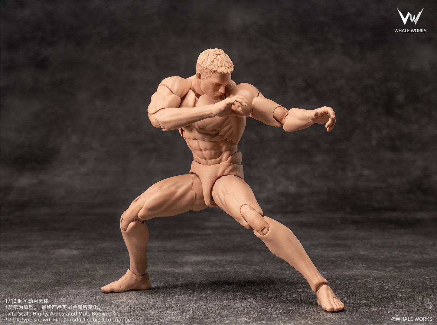 (Pre-Order) Whale Works 1/12 Super Articulated Male Body ASH action figure