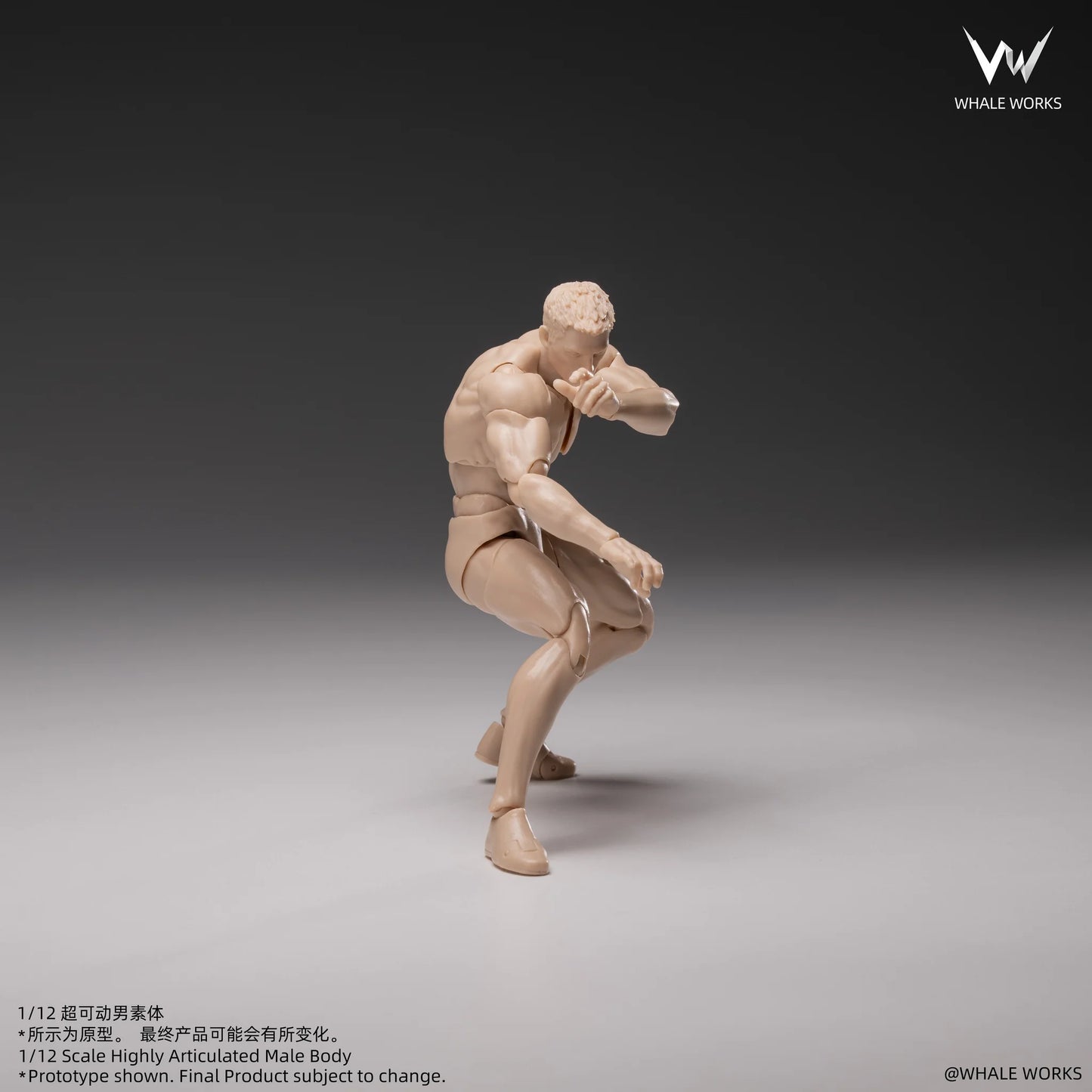(Pre-Order) Whale Works 1/12 Super Articulated Male Body ASH action figure