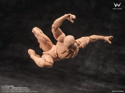 (Pre-Order) Whale Works 1/12 Super Articulated Male Body ASH action figure