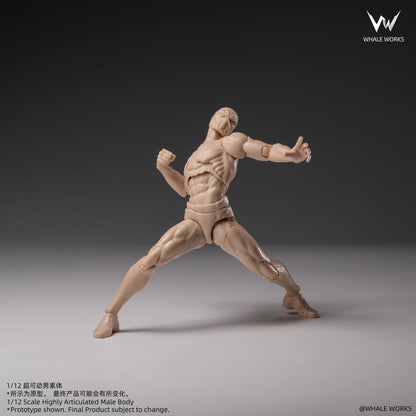 (Pre-Order) Whale Works 1/12 Super Articulated Male Body ASH action figure