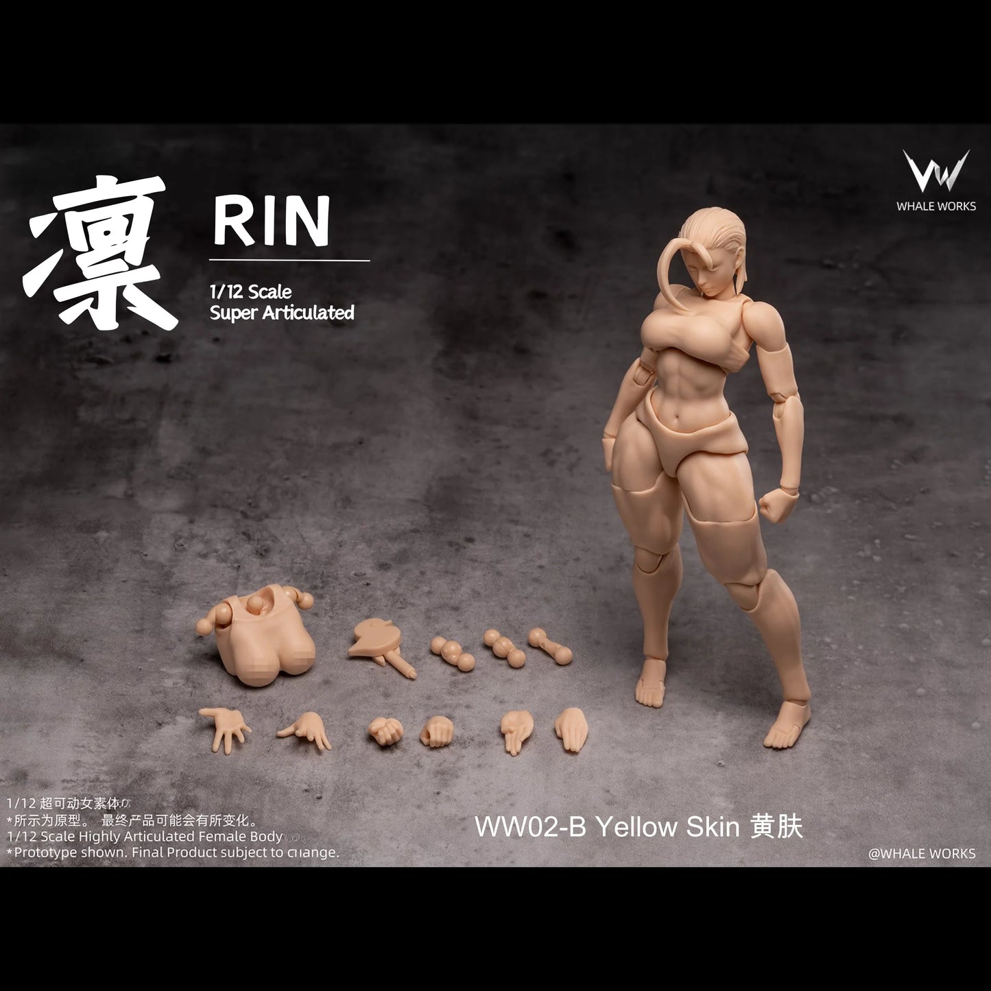 (Pre-Order) Whale Works 1/12 Super Articulate figures Aria and Rin