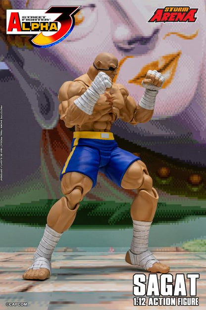 (Pre-Order) Storm Collectibles Street Fighter Alpha 3 Storm Arena Sagat