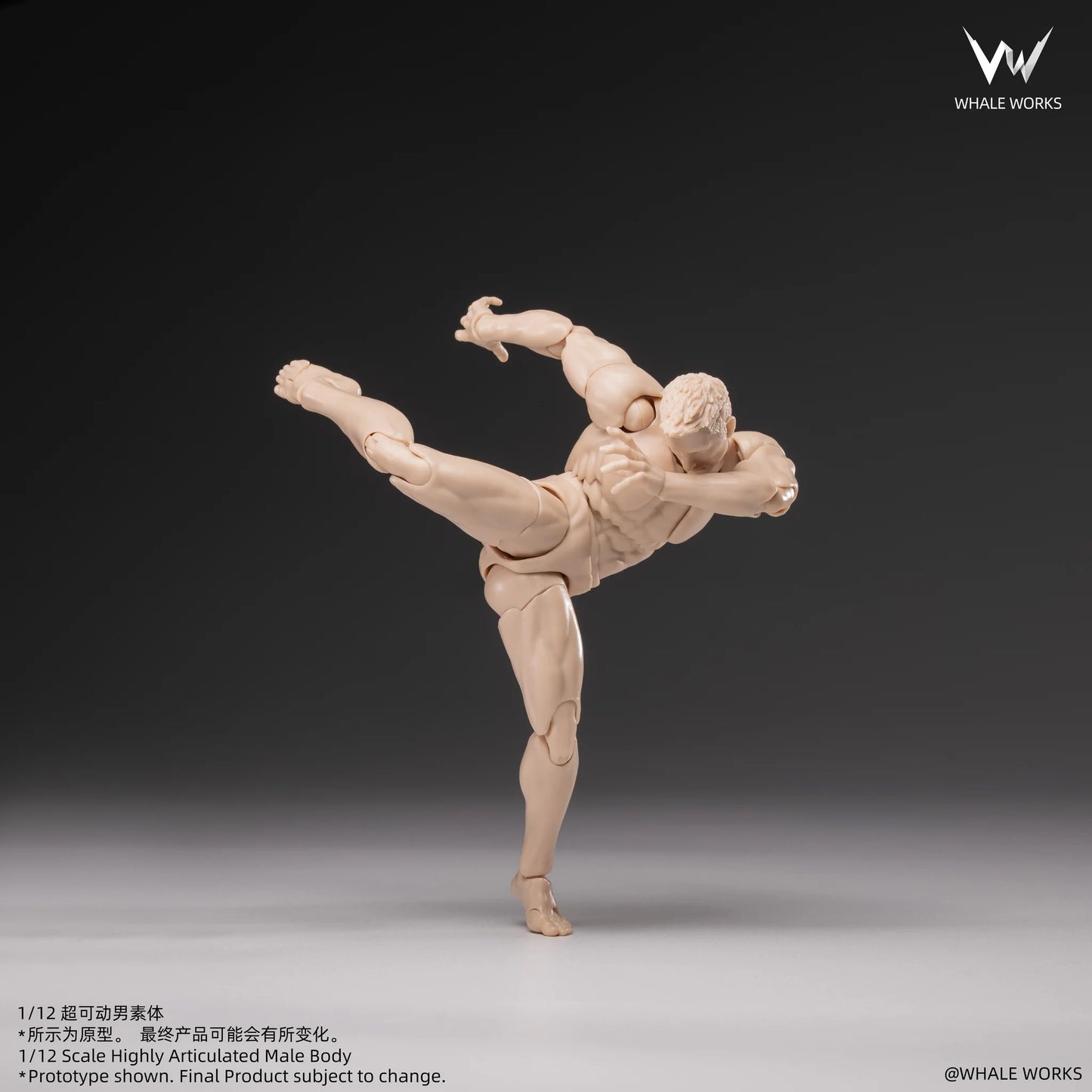 (Pre-Order) Whale Works 1/12 Super Articulated Male Body ASH action figure