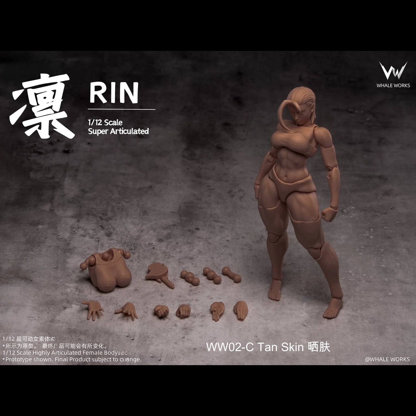 (Pre-Order) Whale Works 1/12 Super Articulate figures Aria and Rin