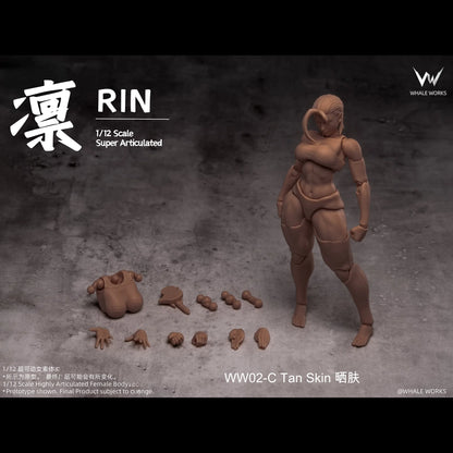 (Pre-Order) Whale Works 1/12 Super Articulate figures Aria and Rin