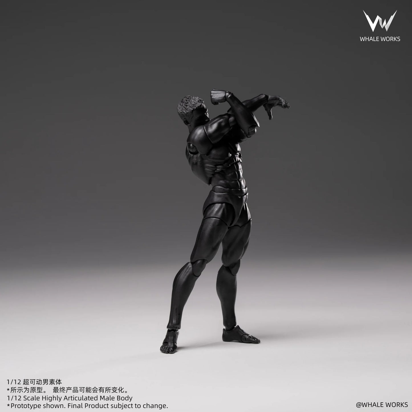 (Pre-Order) Whale Works 1/12 Super Articulated Male Body ASH action figure